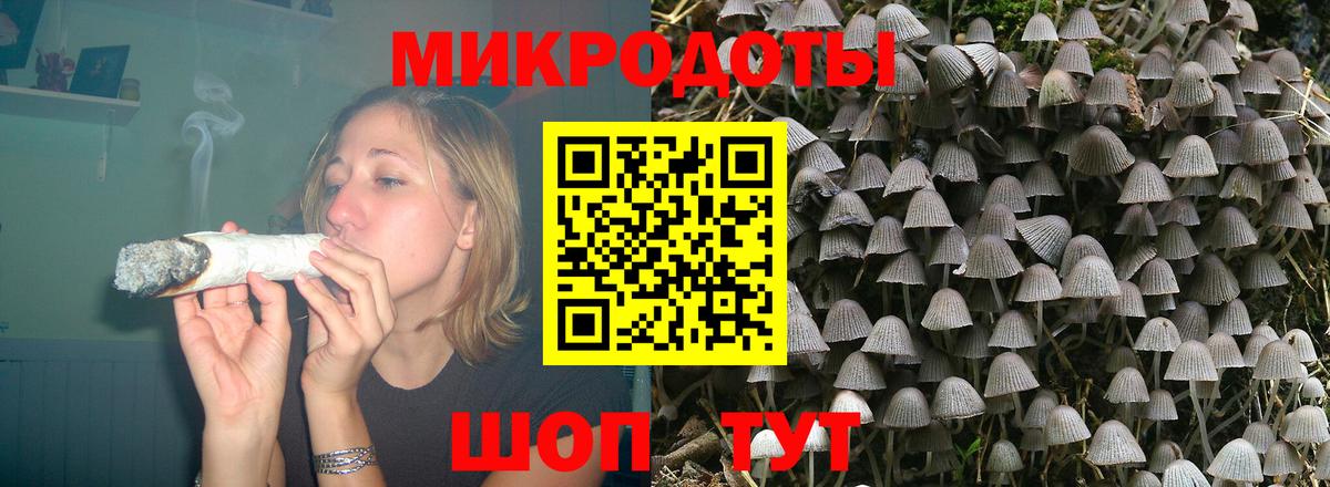 Псилоцибиновые грибы мицелий Карачаевск