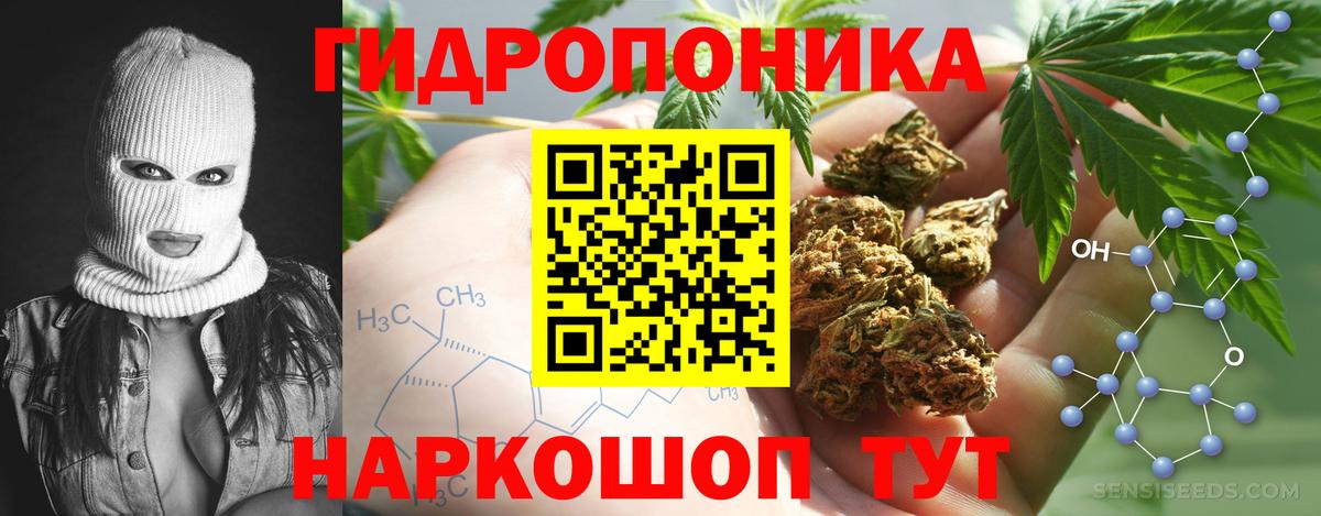 Канабис сатива  Каннабис сатива  Карачаевск  Вход с VPN  Каннабис AK-47  Каннабис план 